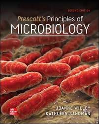 Pin On Ebook