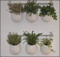 Home Made Mur Vegetal Mur Vegetal Interieur Vegetal