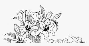 Aesthetic aesthetic wallpaper pinterest aesthetic pinterest aesthetic background pinterest aesthetic lockscreen pinterest aesthetic. Pin By Thetrendedit On Art Drawings Flower Drawing Aesthetic Wallpaper Pink Pastel Hd Png Download Kindpng