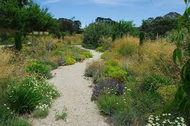 Michael Mccoy On Instagram If You Re Ready To Take Your Garden To The Next Level With A Truly Unique Design The Garde Garden Design Australian Garden Steppe
