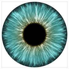 Weird Eye By Nucular Cafepress Eye Texture Eye Drawing Iris Art