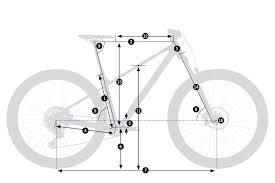 Image result for Orbea knobelii