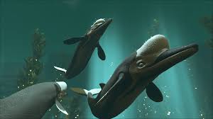 Image result for Zygotritonia