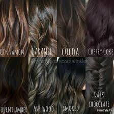 The darker hair contrasts well and looks beautiful. Brunette Colorguide Brownisbeautiful Beauty Hair Color For Brown Eyes Brown Hair Shades Brunette Hair Color