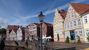 Image result for Stadmannia