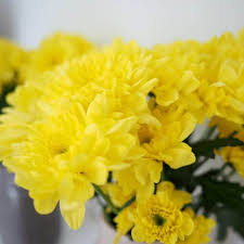 Check spelling or type a new query. Let S Test Tesco Flowers 14 Day Freshness Guarantee The Diary Of A Frugal Family