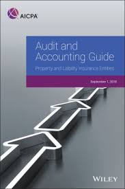 Audit And Accounting Guide Property And Liability Insurance Entities 2018 Nook Book