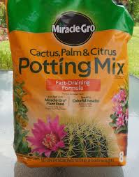 It also contains forest products, sand, and perlite to help prevent. Diy Succulent Strawberry Planter