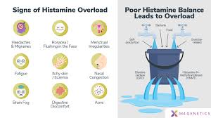 Image result for Histamine