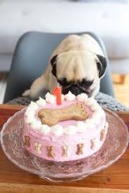 Hundekuchen Geburtstagstorte Fur Den Hund Selber Backen Hundelogie Hunde Kuchen Hundekuchen Hunde Torte