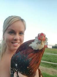 12+ SPECKLED COL. Givens Hatch Spangled Game Chicken Hatching Eggs $75.00