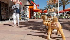 طبرقة التونسية إحدى أهم الوجهات bilakinaa وضع سياحي متدهور في مدينة طبرقة وتجارها يطالبون الدولة بالتدخل وتنشيط القطاع. ÙƒÙŠÙ Ø§Ø³ØªÙ‚Ø¨Ù„Øª ØªÙˆÙ†Ø³ Ø£ÙˆÙ„ Ø±Ø­Ù„Ø© Ø³ÙŠØ§Ø­ÙŠØ© Ø¨Ø¹Ø¯ ÙƒÙˆØ±ÙˆÙ†Ø§