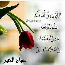 The morning prayer is so powerful and effective that you will really feel like allah himself is saying good morning to you. Dua Good Night Islamic Quotes
