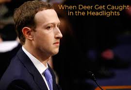 The Digital Liberation Blog