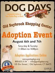 Maybe you would like to learn more about one of these? Dog Days Adoption Events Dog Days