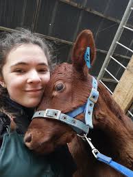 High School Archives