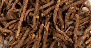 Image result for Cryptolepis