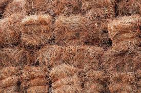 Commercial and residential installation and spreading. Longleaf Pine Needles Pine Straw Always Fresh Visions Landscape Supply Design 704 238 1900
