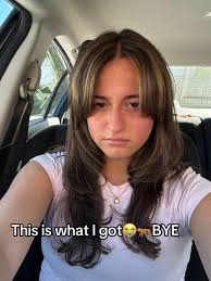 Hairstyles for Botched Face Frame