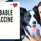 Affordable Pet Vaccine Clinic - Dogtopia event image