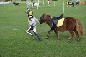 Two volunteers from villamar (southern sardinia) were arrested on suspicion of arson: Federazione Italiana Sport Equestri Comitato Regionale Sardegna Stage Di Preparazione Caroselli Col Tecnico Alice Sottili Del 24 25 Ottobre 2020