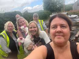 Bindi's Lost & Found Pets CIC