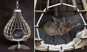 Modern cat house cat bed dog bed cat house wood pet house pet furniture dog cot. Kitticraft Modern Cat Products From South Africa Cat Bed Modern Cat Cat Diy