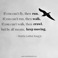Cannot Fly Birds That Don T Fly If You Can T Fly Then Run If You Can T Run Then Walk If You Can T Walk Then Crawl But By All Means K Martin Luther King Jr Inspirational Quotes King Jr