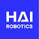 Hai Robotics