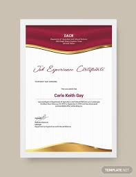 Experience certificate is a verification of the skills of employees and it is specifically required while looking for a new job. 18 Experience Certificate Word Psd Ai Indesign Example Templates Examples