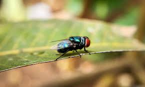 Porno uzaki chan once some text messages the girl was on to