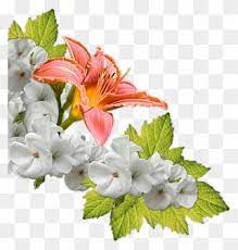 Wc at fiori harmonix png. Composizione Fiori Png Clipart 5804168 Pinclipart