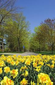 Saint Mary's Symposium Program