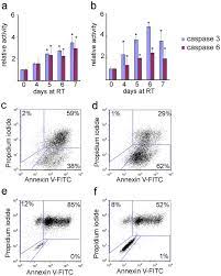 Maybe you would like to learn more about one of these? Cell Death Stages In Single Apoptotic And Necrotic Cells Monitored By Raman Microspectroscopy Scientific Reports