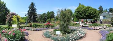 Check spelling or type a new query. Botanischer Garten Solingen Beitrage Facebook