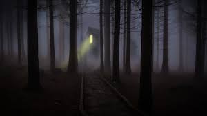 Scary Forest Wallpapers Top Free Scary Forest Backgrounds Wallpaperaccess Shadow trees landscape kokyn dark forest animal wallpaper. scary forest wallpapers top free