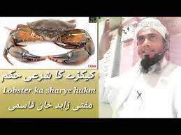 Halal and haram are universal terms that apply to all facets of life. Kya Kekda Khana Halal Hai By Mufti Zahid Khan Qasmi Qasmi