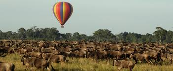 Image result for serengeti balloon safari