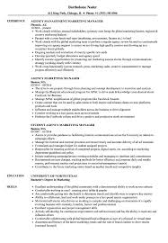 agency marketing manager resume samples