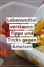 Lebensmittel Gut Verstauen Um Ameisen Fernzuhalten So Machen Sie Es Richtig In 2020 Was Hilft Gegen Ameisen Ameisen Tipps