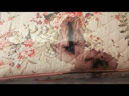 Collection by ash altwd • last updated 13 days ago. Corey Jury Sees Graphic Crime Scene Photos Youtube
