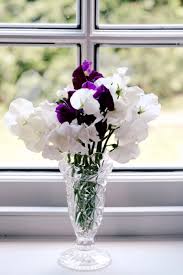 Maybe you would like to learn more about one of these? Growing Sweet Peas For Bouquets Tips And Choices Fierceblooms British Flowers