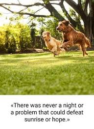 2,448 likes · 188 talking about this · 430 were here. Sunrise Pet Clinic Ramprastha
