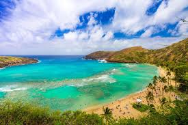Hanauma bay tours the royal hawaiian, a luxury collection resort sheraton waikiki #waikiki #hawaii #waikikibeach #hanaumabay pic.twitter.com/mbgnnunwf2. Hanauma Bay Nature Preserve Private Tours Hawaii Personalized Customized Private Tours On Oahu