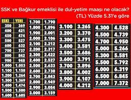 2018 zammı ile memur maaşları ne. 2020 Ocak Emekli Ve Memur Maaslari Tablosu Sanal Basin