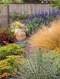 Xeriscaping Is The Latest Gardening Buzz Word What Does It Mean Xeriscape Landscaping Xeriscape Front Yard Xeriscape