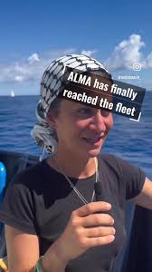 Alma Cleaning Solutions