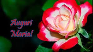 Tanti Auguri Di Buon Compleanno Maria Video Dailymotion Carta Da Parati A Fiori Semi Di Fiori Rose Belle