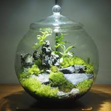 Glass Terrarium Container Bell Jars With Cover Etsy Terrarium Containers Glass Terrarium Containers Terrarium