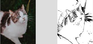 How to turn photo into line drawing online for free with fotor goart goart is an ai photo effects of fotor that can turn your work into a famous painting, including line drawing art. Best 10 Tools To Convert Photo To Line Drawing Online Topten Ai
